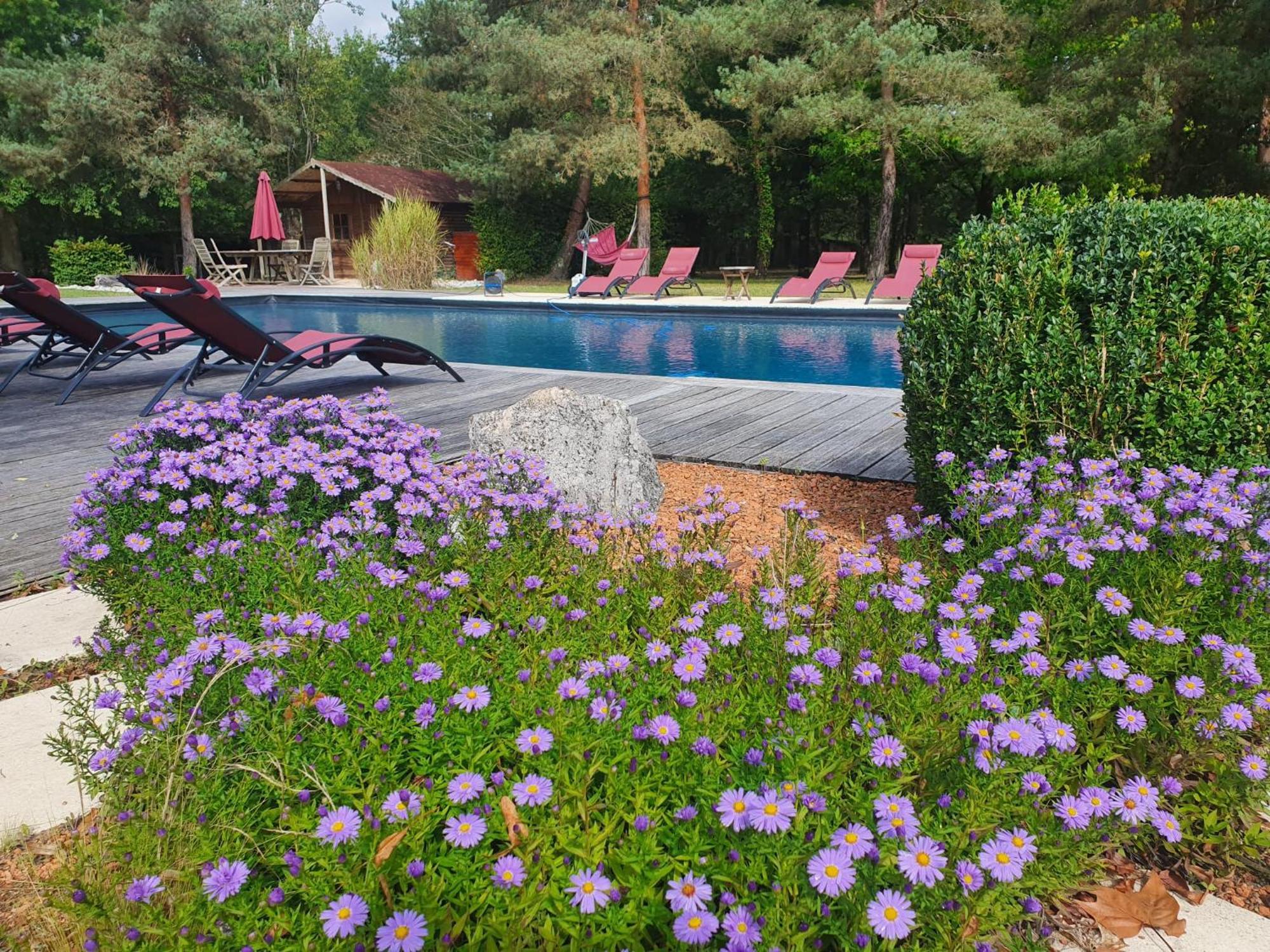 Domaine De Grand-Pas Villa Vernou-en-Sologne ภายนอก รูปภาพ