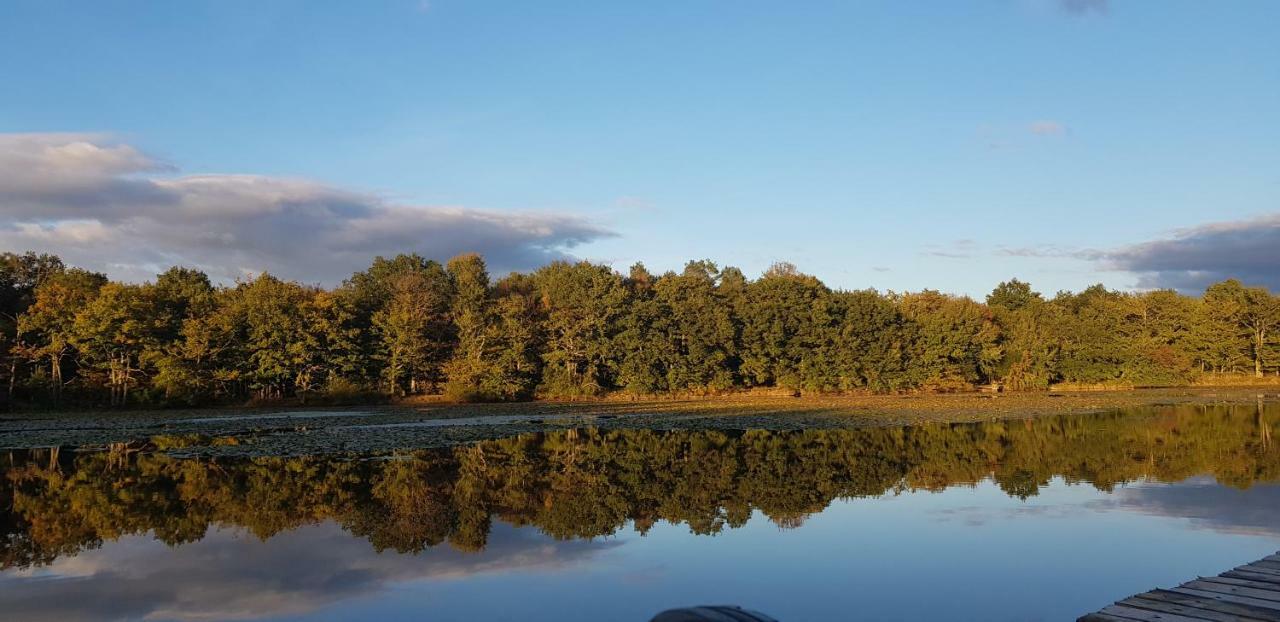 Domaine De Grand-Pas Villa Vernou-en-Sologne ภายนอก รูปภาพ