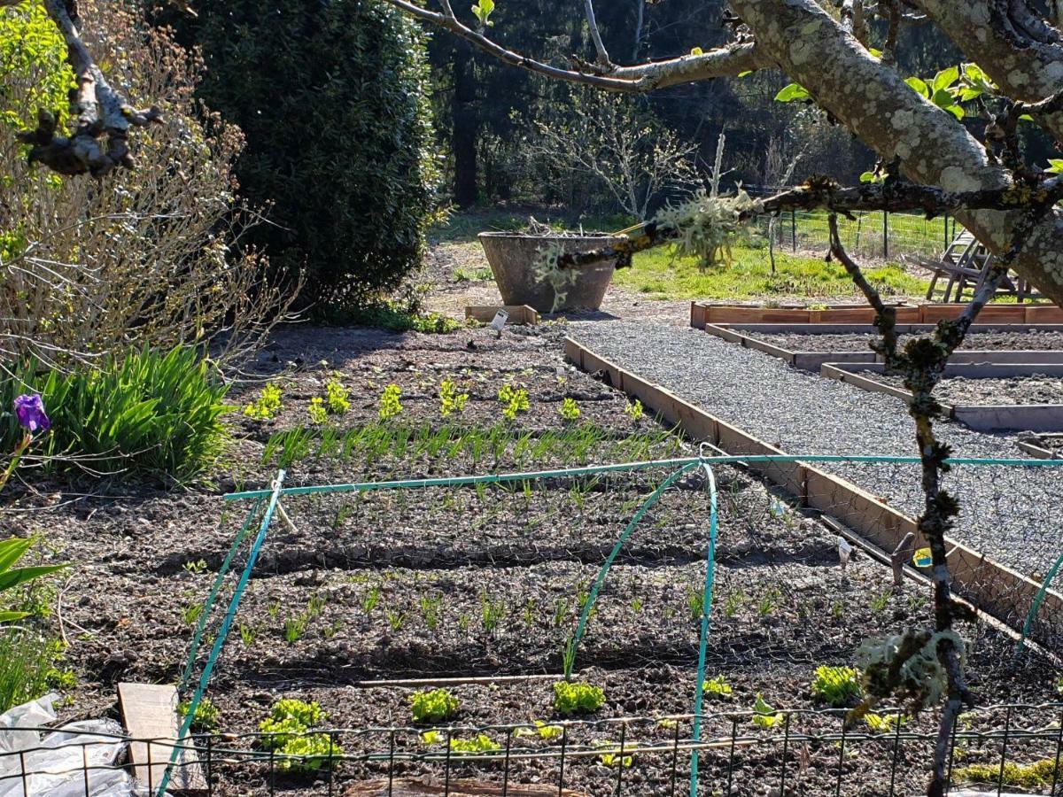 Domaine De Grand-Pas Villa Vernou-en-Sologne ภายนอก รูปภาพ
